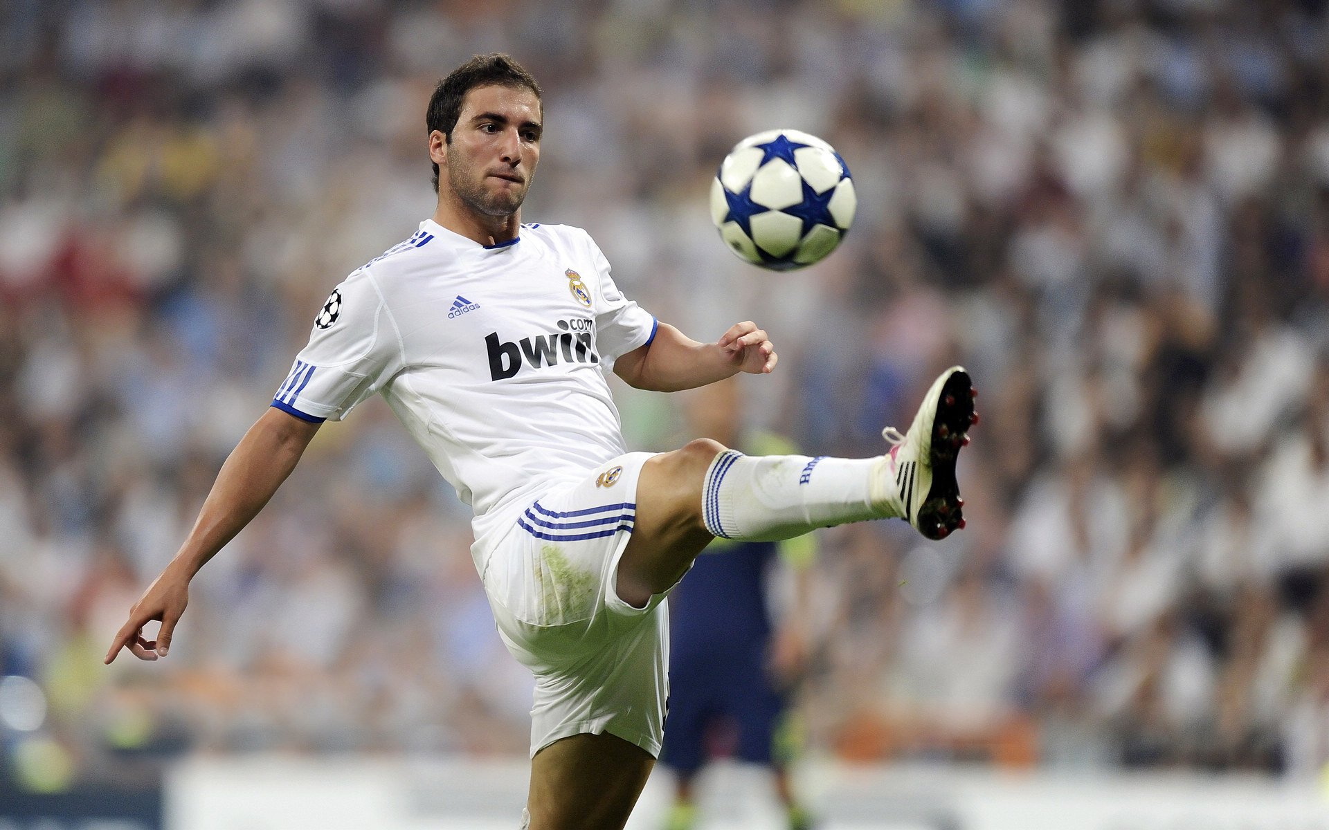 高尔夫赛事观众数量增长,高尔夫赛事预算